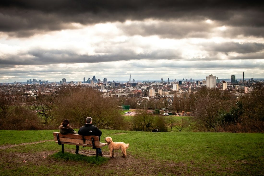 Couple and dog on a park bench overlooking a city skyline