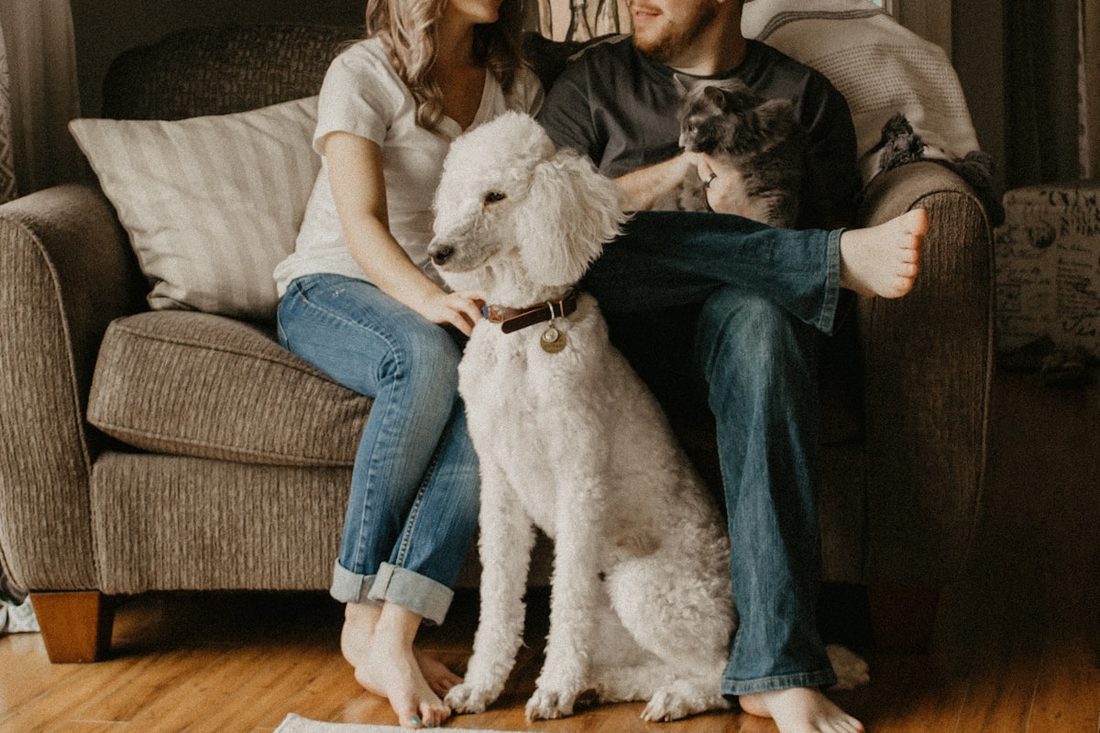 Couple sitting on a sofa with a large dog and a grey cat